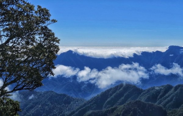 畢祿山 羊頭山 畢羊縱走慶雙十1129694