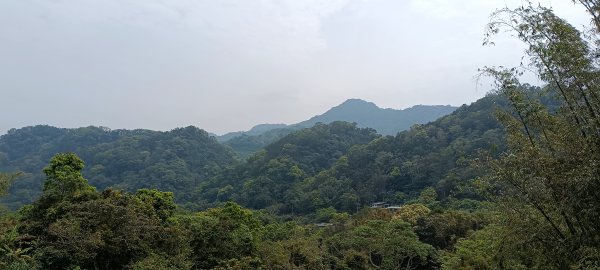 2024/03/30-赤柯山+東獅頭山步道2468230