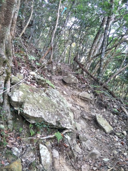 谷關七雄：八唐縱走(八仙山、唐麻丹山)1507583