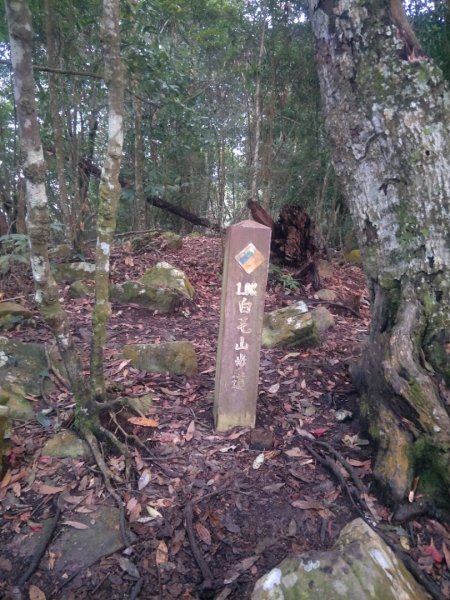 谷關七雄:阿白縱走-白毛山+太郎山+次郎山1513828