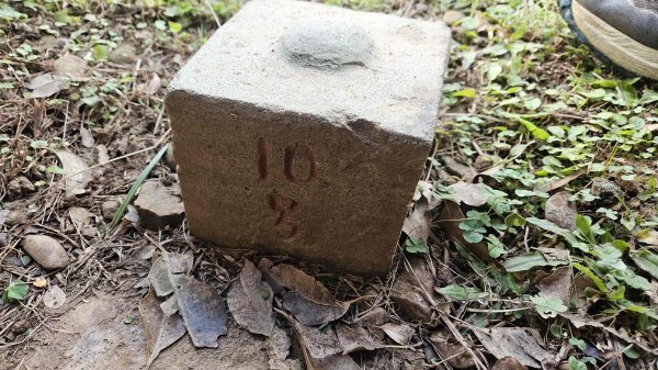 20251229龍潭大池自行車道-三林自行車道-名人棒球堂飯店-石門大草坪-林埤古道-石門水庫2974575