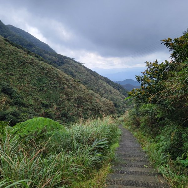 貂山古道1621029