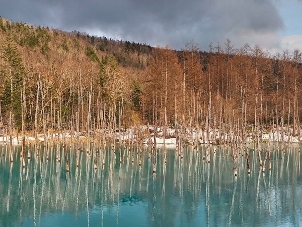 日本北海道青池2759849