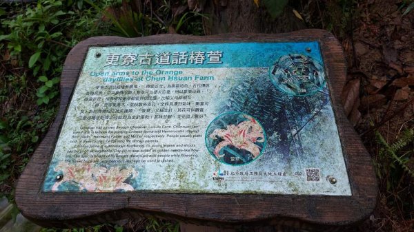 小百岳NO.14 深坑土庫岳。更寮古道 山豬窟尖，小南港山，南港山水綠生態公園2257361