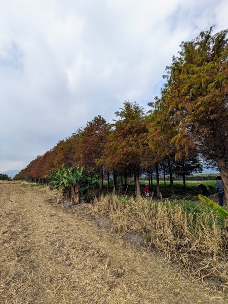 農禪寺,普濟寺2407051