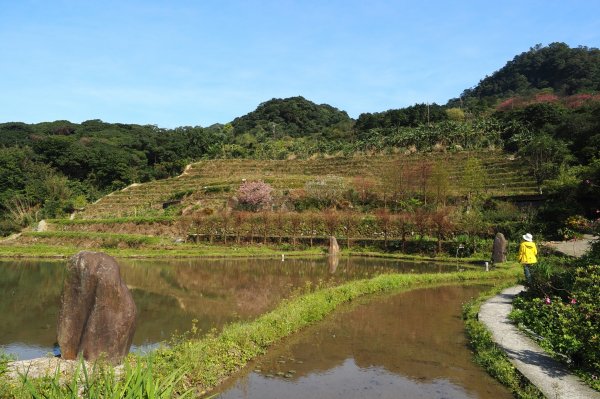 嵩山百年梯田、青山瀑布1293936