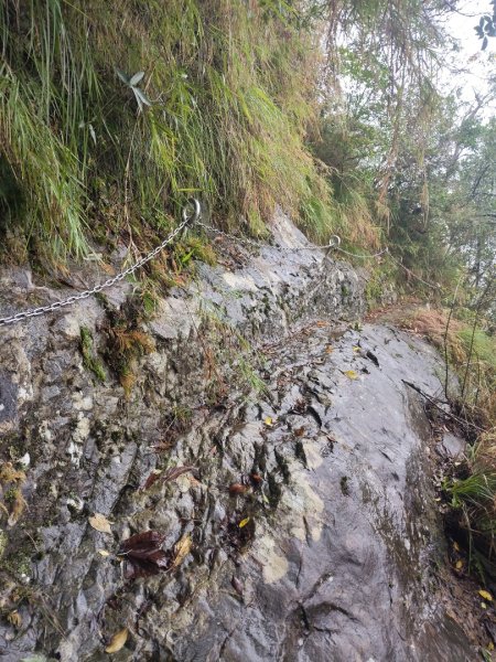 微笑山線：【五分山系】菁桐煤礦段2954728