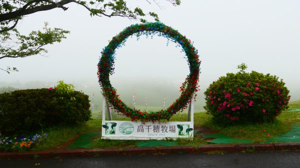 南九州－櫻島有村溶岩,桷志田,高千穗牧場,霧島神宮3063836