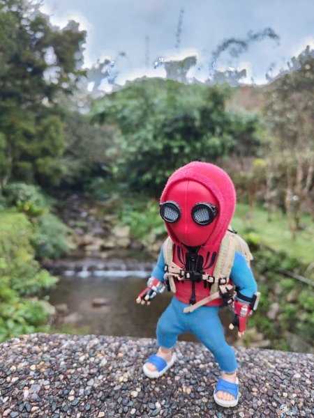 2023.12.14 鵲子山2804605