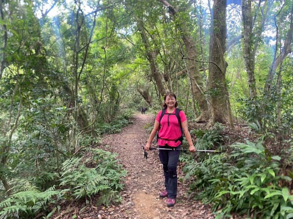 苗栗縣獅潭鄉鳴凰古道O型縱走2803682