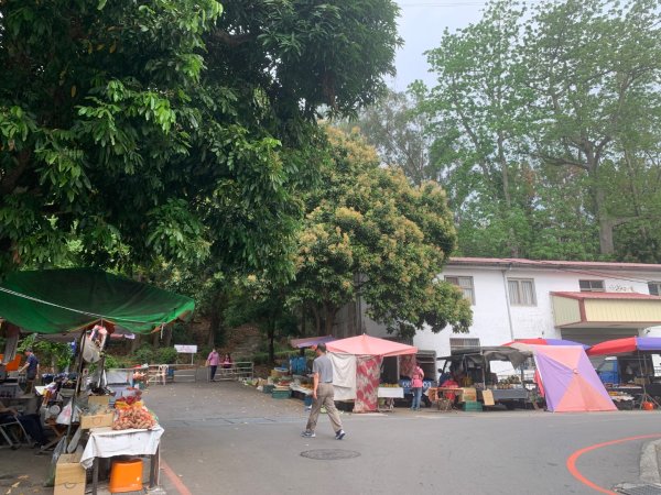 阿罩霧山、中心瓏步道2768909