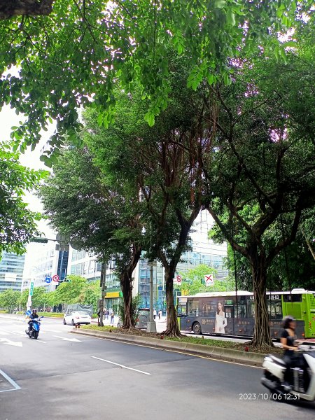 內湖大港墘公園、文德三號公園、瑞陽公園【走路趣尋寶、健康大穀東】2305242