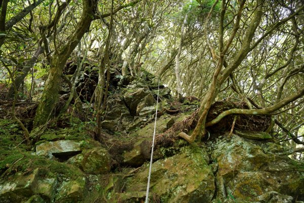 新竹 五峰 油羅山、霞山2798283