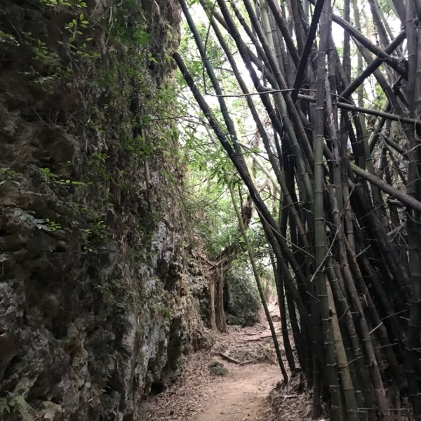 大崗山三角點+一線天937883