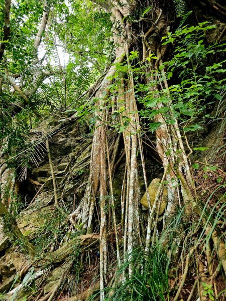 得卡倫步道2833837