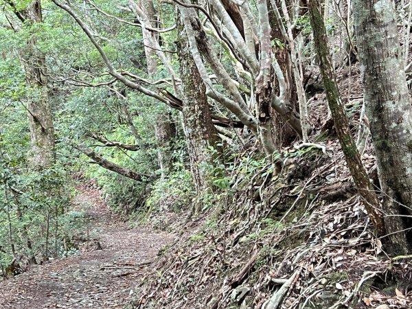 熊野古道參訪4日2805111