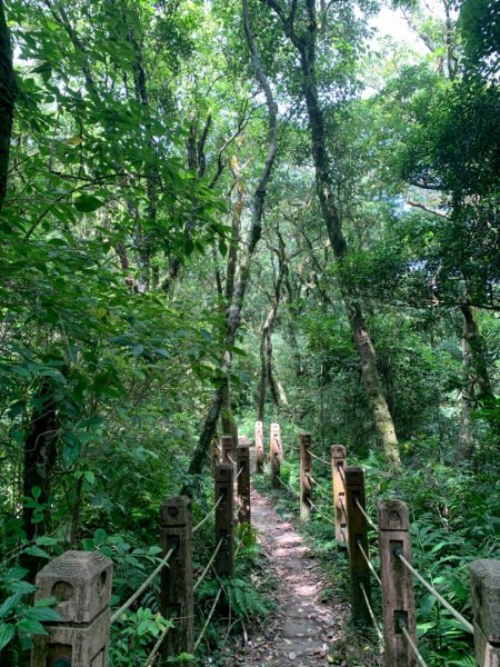獅仔頭山/小百岳1453961