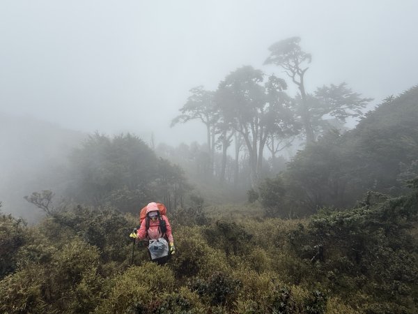 南一段 2025 / 04/02~04/062764403