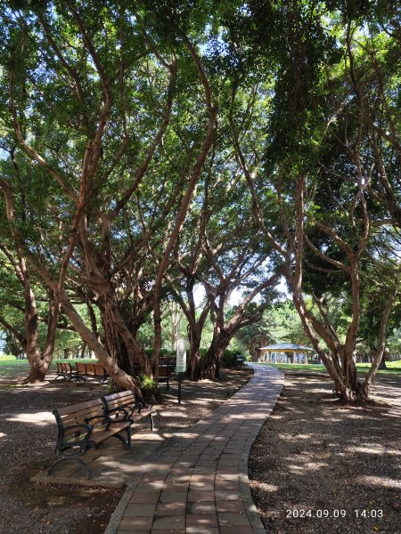 前港公園、大安森林公園、大港墘公園【走路趣尋寶】【臺北健走趣】2591712