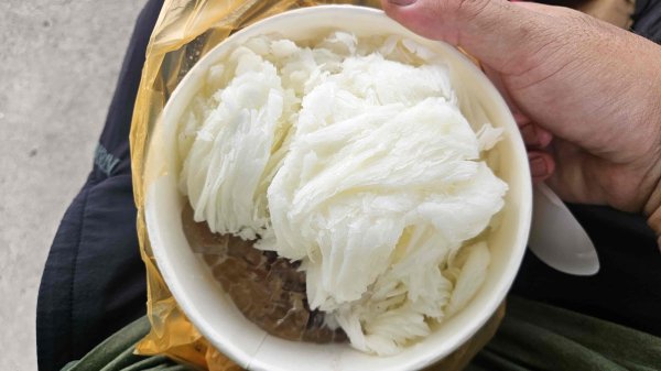 20250719遠景古道-雞母嶺古道(雞母嶺街-三叉港-土地公嶺山-雙澳崙)2841159