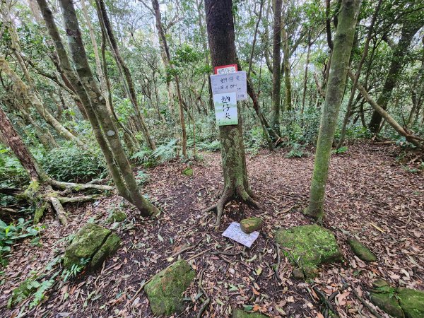 火燒寮山熊空山竹坑山加九嶺O型2966276