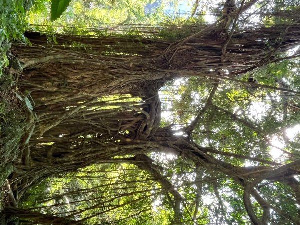 20251012_八里灣山（花蓮小百岳）2941309