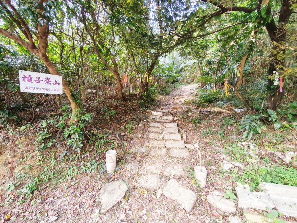 基隆槓子寮山，龍崗步道，瑞芳象鼻岩，老梅綠石槽，內湖老鷲尖山，翠湖，內溝山，油桐嶺1670358