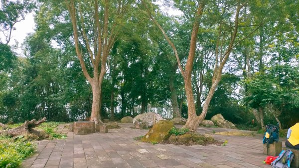 石硦林場、桶頭山O形3052345