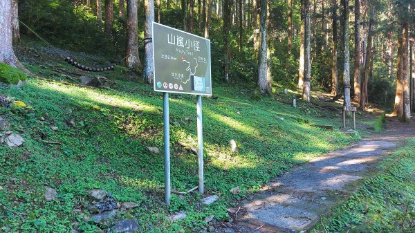 惠蓀林場小出山登山步道關刀山林道起登1725980