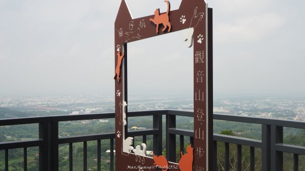 《台中》貓仔龍貓｜后里鳳凰山觀音山登山步道O繞202505042777245
