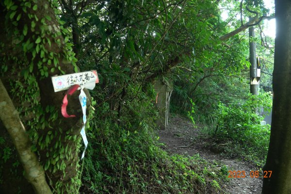 基隆 安樂 大武崙山、三角嶺頭山2268050