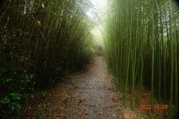 臺南 白河 黃牛山1875969