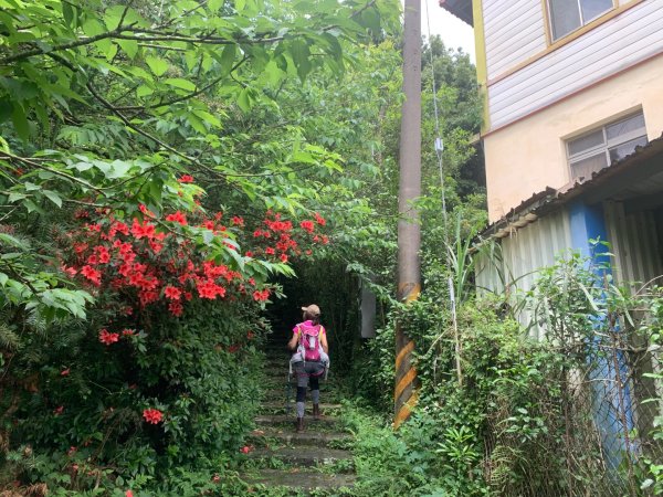 大崎棟古道、騎龍古道2772247