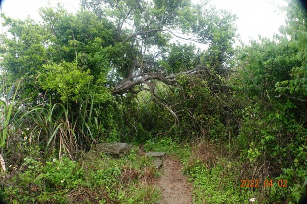 臺南 南化 刣牛湖山1664329