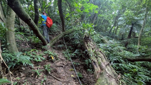 114.06.21大竹坑山-小粗坑山-石門山之旅2818870