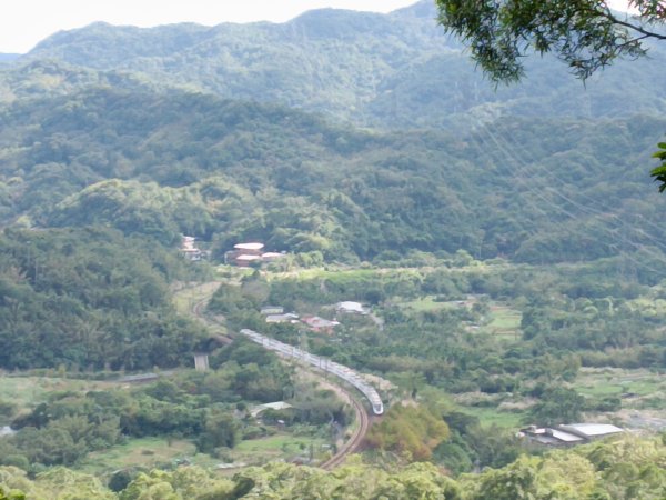 雙溪區聖南寺朝山古道+大竹林山(未果)2963570