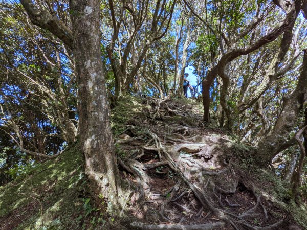 志繼山東眼山拉卡山1491080