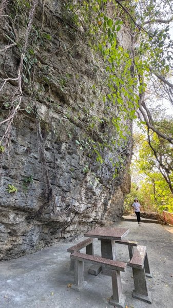 尋仙、鑽洞、啖肥雞3002769