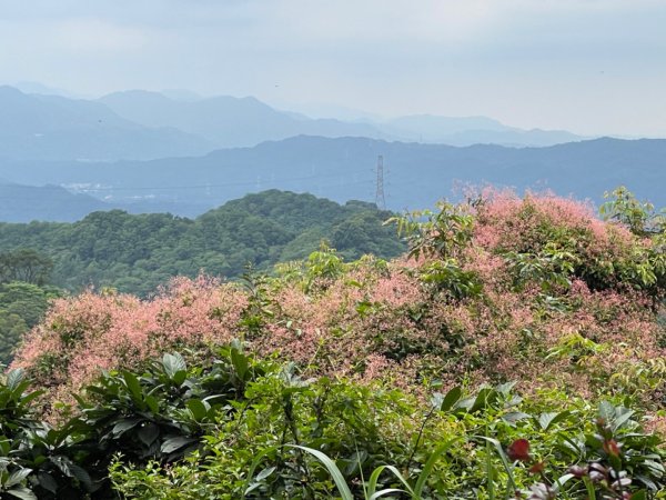 1140601石門山2803243