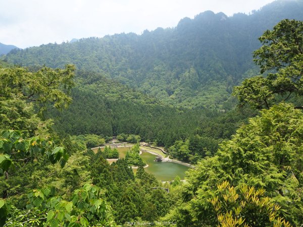 《宜蘭》北橫明珠｜明池國家森林遊樂區201805192889310