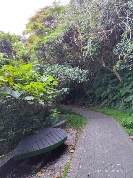 翠山步道、大崙頭尾山親山步道【臺北健走趣】2874300