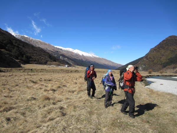 Rees Dart Track in New Zealand8931