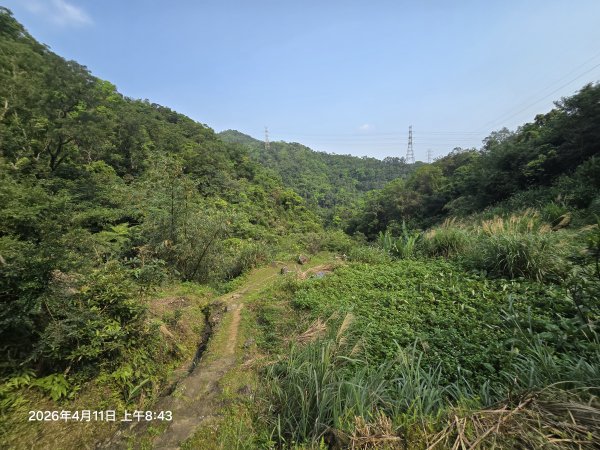 2026-04-11微笑山線：【二格山系】筆架連峰段3034551