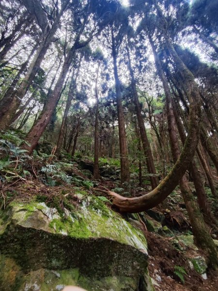 橫沙笛縱走2668678