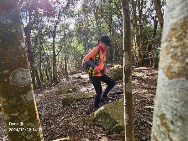 【谷關七雄】波津加(H1771.6m)肉腳配速成功2670513