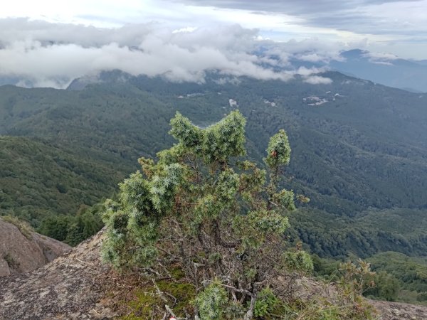 大塔山連走大塔山西峰2569429