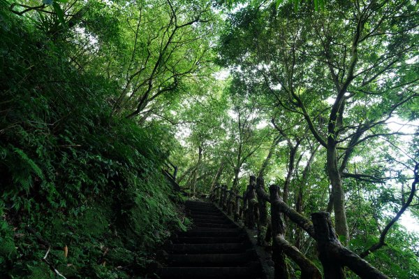 臺北 二格山、南邦寮山、阿柔洋山2570398