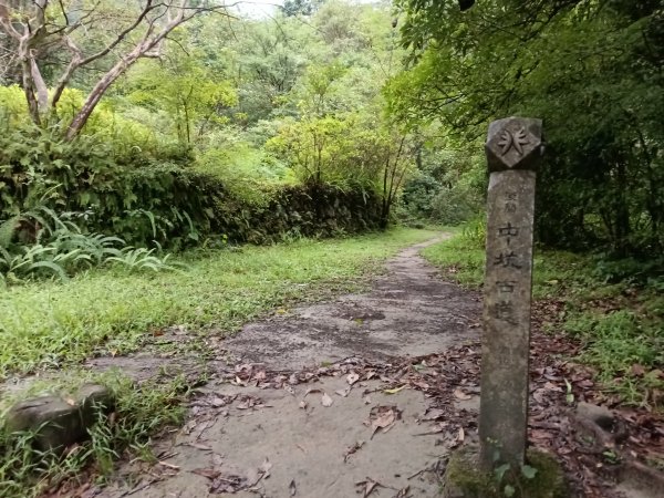 雙溪區中坑古道+大夯瀑布+中坑東山+中坑東山尾稜O型2921520