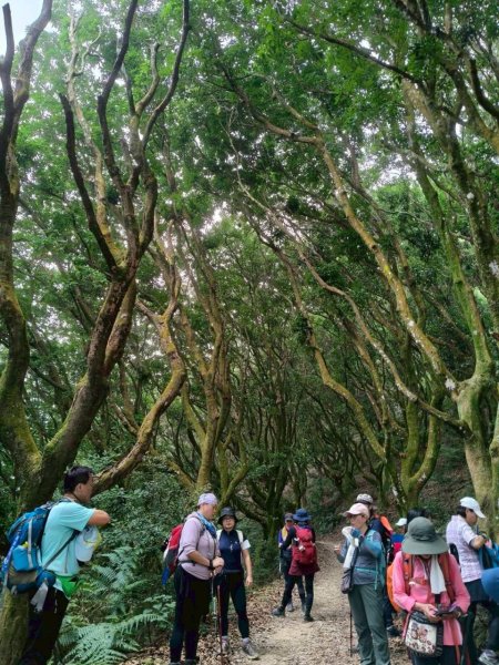 🌈12/14(日)南部最佳百岳練習場~小百岳-尾寮山✨FB：熊熊趴爬走🌈2961703