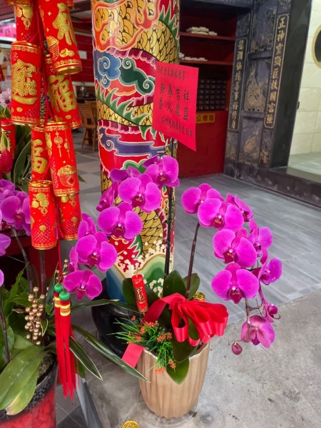 雙湖賞櫻🌸2709112